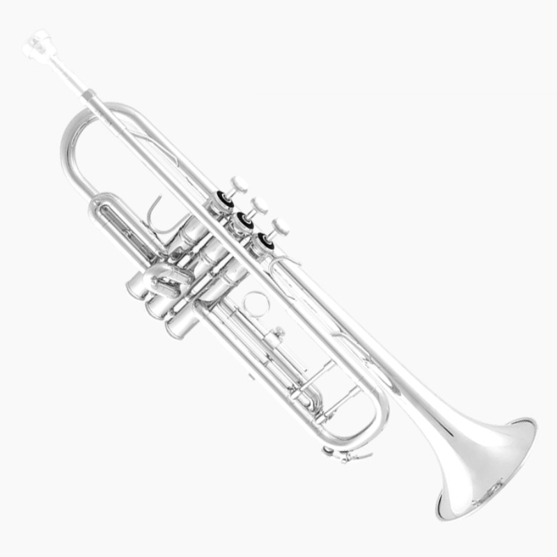 [B급악기] 바하 BTR211S-2 Bb 트럼펫